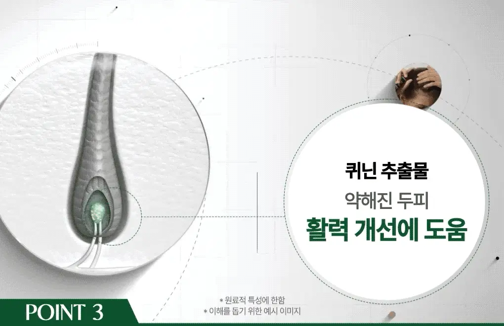 [두피활력&모발강화] 클로란 퀴닌 에델바이스 샴푸 400ml 상세페이지 16